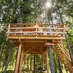 Treehouse U Lesa Osecna