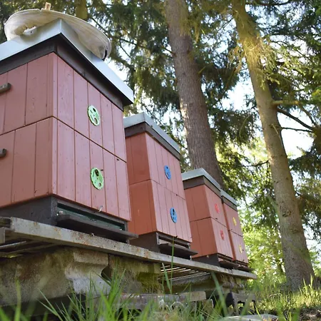 Campsite Treehouse U Lesa