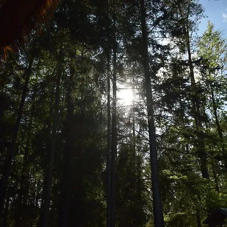 Campsite Treehouse U Lesa Osecna