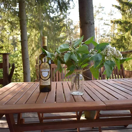 Campsite Treehouse U Lesa