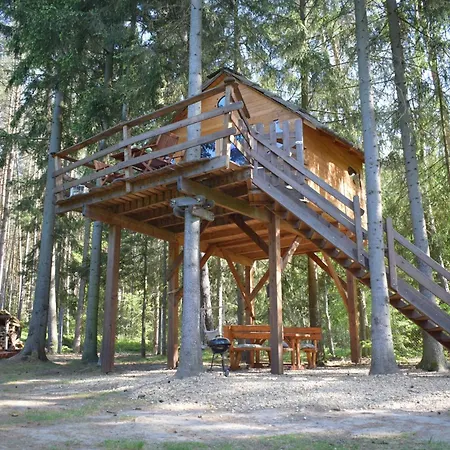 Treehouse U Lesa * Osecna