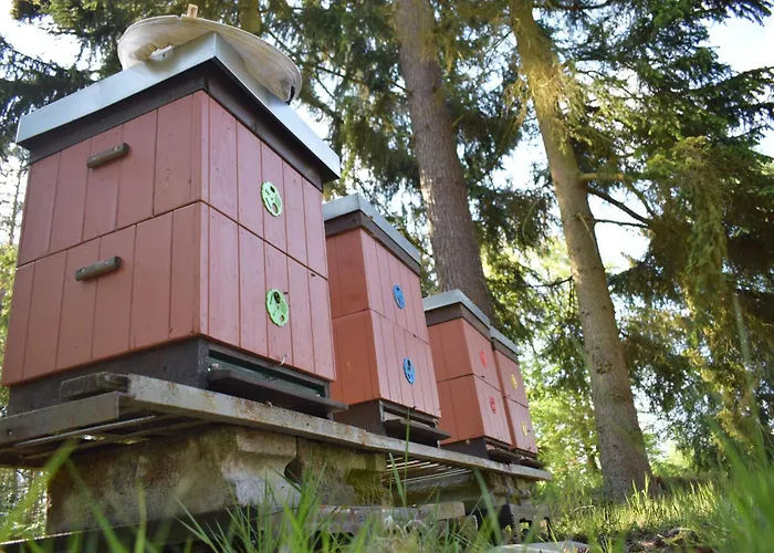 Campeggio Treehouse U Lesa