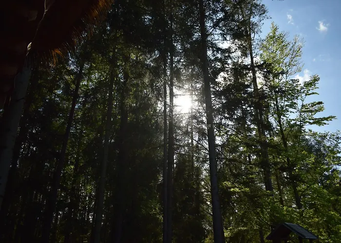 Campeggio Treehouse U Lesa Osecna